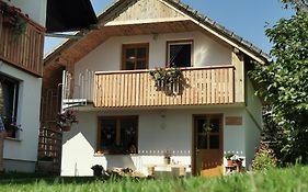 Apartments Vidic